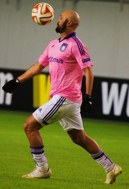 Anthony Vanden Borre in Anderlecht jersey, 2014-2015 season