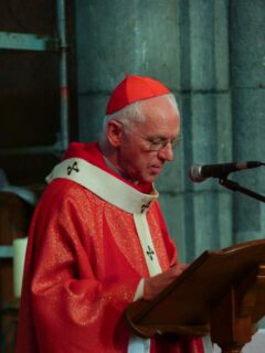 Jozef De Kesel in de basiliek van Sint-Martinus, 2017